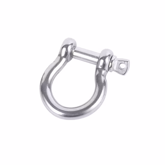 Grillete de seguridad tipo D de acero inoxidable 304 316 D